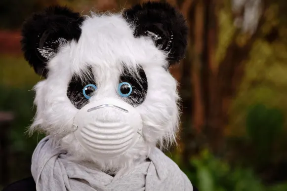 프론토 카지노 지원